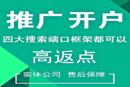 某行业巨头托管竞价sem的胜利之路